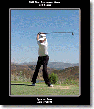 theswingsml